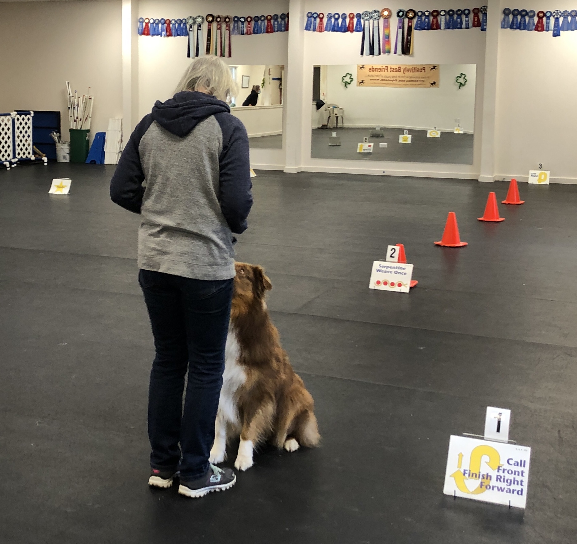 Dog training classes in Mid-Coast Maine